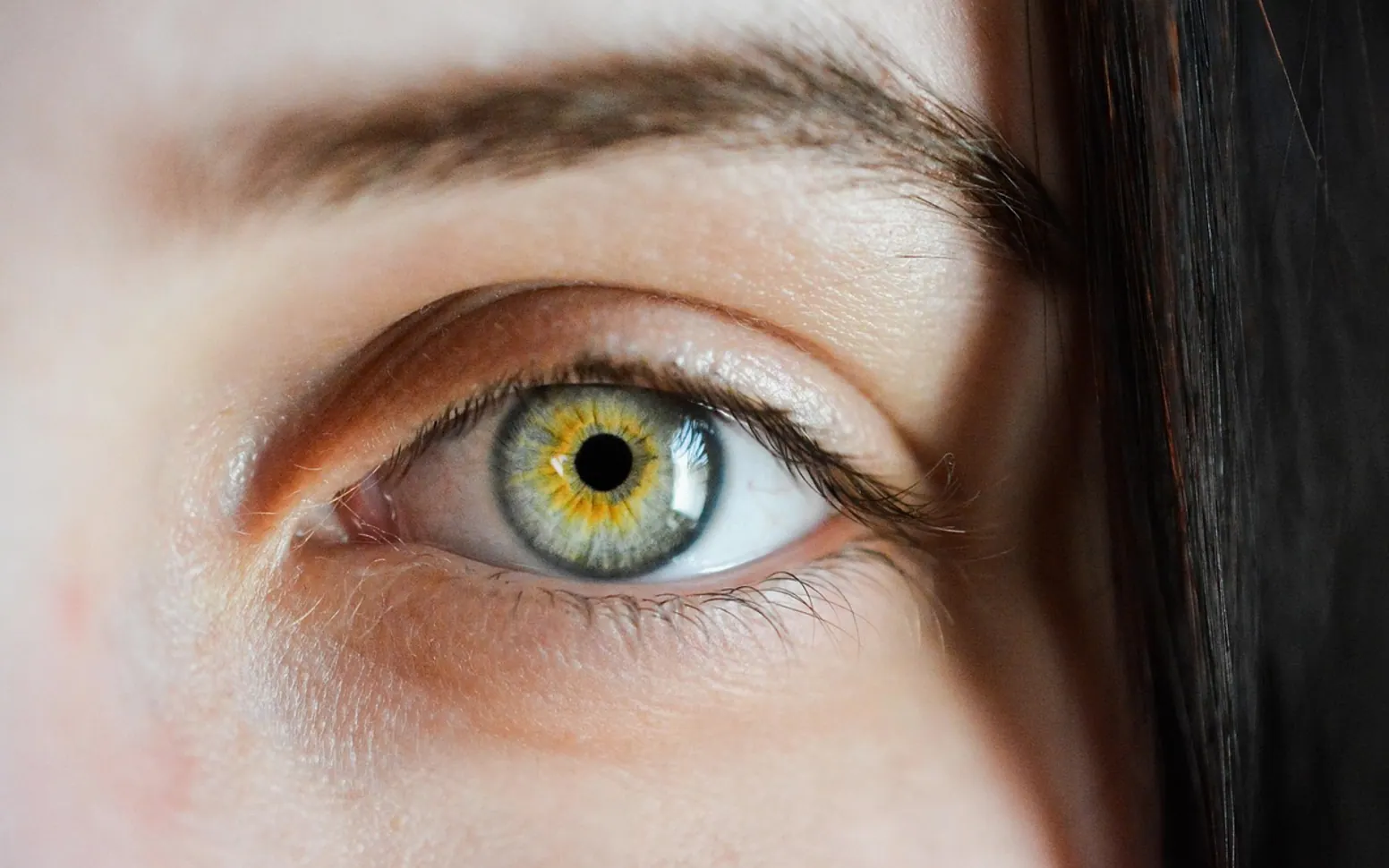 Eye, iris and macro
