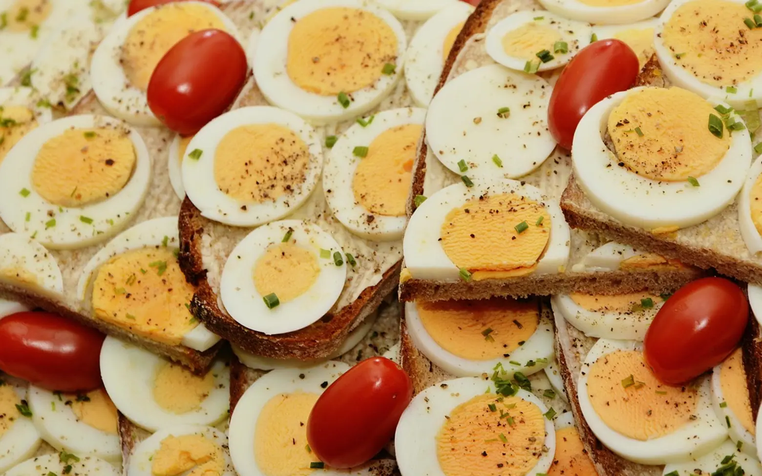 Egg sandwich, egg and bread