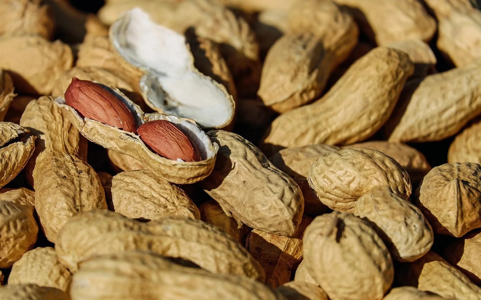 Nuts, peanuts and roasted