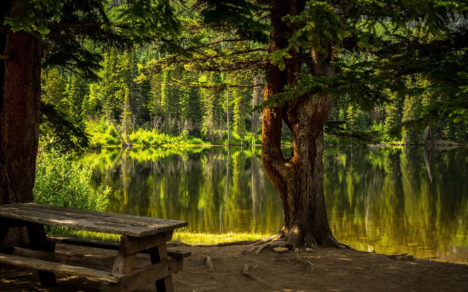 Bench, lake and park