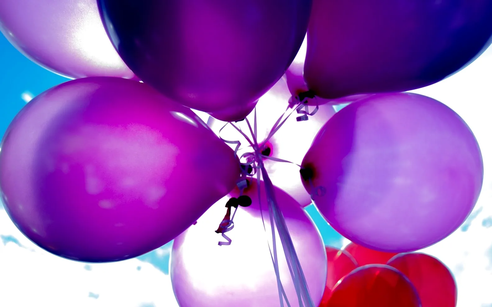 Balloons, celebration and helium