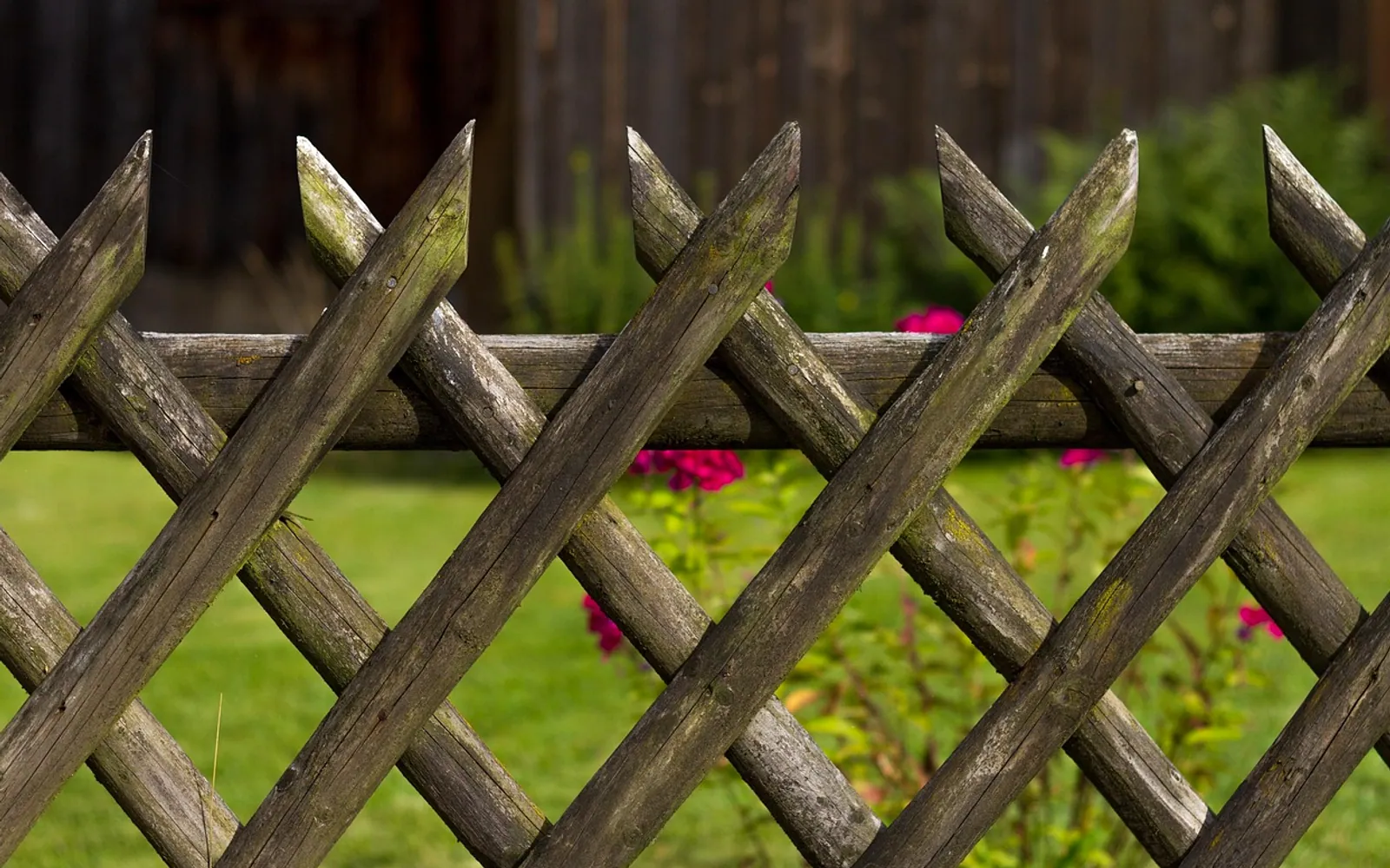 Garden fence, fence and wooden fence